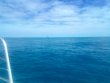 Sunday June 5th 2022 Tropical Odyssey: Hole in the Wall reef report photo 1