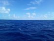Saturday July 23rd 2022 Tropical Odyssey: USCGC Duane reef report photo 1