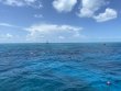 Tuesday August 2nd 2022 Tropical Odyssey: Winch Hole reef report photo 1