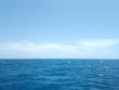 Friday August 5th 2022 Tropical Odyssey: Woodys reef report photo 1