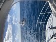 Sunday February 27th 2022 Tropical Serenity: Spiegel Grove reef report photo 1