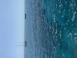 Saturday April 2nd 2022 Tropical Serenity: Elbow Reef reef report photo 1