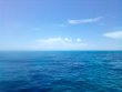 Sunday June 12th 2022 Tropical Serenity: North Dry Rocks reef report photo 2