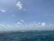Wednesday June 15th 2022 Tropical Serenity: Banana Patch reef report photo 3