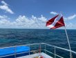 Thursday July 7th 2022 Tropical Serenity: Christ Statue reef report photo 1