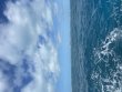 Sunday December 10th 2023 Tropical Destiny: Molasses Reef reef report photo 1