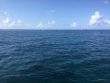 Monday April 3rd 2023 Tropical Legend: Hole in the Wall reef report photo 1