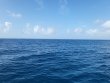 Wednesday August 9th 2023 Tropical Legend: Drift Molasses reef report photo 1