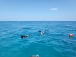 Thursday August 10th 2023 Tropical Legend: Benwood Wreck reef report photo 1