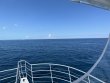 Wednesday September 13th 2023 Tropical Legend: Conch Wall reef report photo 1