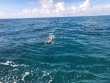 Saturday September 30th 2023 Tropical Legend: Benwood Wreck reef report photo 1