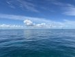 Friday October 6th 2023 Tropical Odyssey: Spanish Anchor reef report photo 1