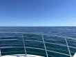 Saturday October 21st 2023 Tropical Odyssey: French Twist reef report photo 1