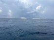 Tuesday September 17th 2024 Tropical Destiny: Benwood Wreck reef report photo 1