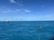 Sunday September 29th 2024 Tropical Destiny: Molasses Reef reef report photo 1