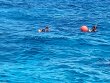 Wednesday May 1st 2024 Tropical Legend: Eagle Ray Alley reef report photo 1