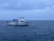 Saturday June 15th 2024 Tropical Odyssey: Benwood Wreck reef report photo 1