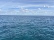Thursday December 5th 2024 Tropical Odyssey: Fire Coral Cave reef report photo 1