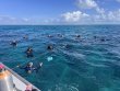 Friday May 3rd 2024 Tropical Serenity: Elbow Reef reef report photo 1