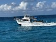 Wednesday May 8th 2024 Tropical Serenity: Spiegel Grove reef report photo 1