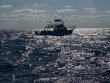 Thursday May 9th 2024 Tropical Serenity: Spiegel Grove reef report photo 1