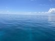 Monday June 10th 2024 Tropical Serenity: Benwood Wreck reef report photo 1