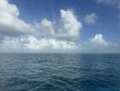 Monday August 12th 2024 Tropical Serenity: ChristmasTree Cave reef report photo 1