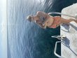 Thursday August 15th 2024 Tropical Serenity: Hole in the Wall reef report photo 1