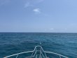 Sunday May 4th 2025 Tropical Adventure: Snapper Ledge reef report photo 1