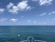 Thursday May 8th 2025 Tropical Adventure: Snapper Ledge reef report photo 1