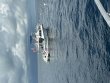 Friday May 23rd 2025 Tropical Adventure: Spiegel Grove reef report photo 1