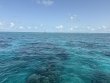 Saturday June 7th 2025 Tropical Adventure: North Star reef report photo 1