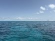 Saturday June 7th 2025 Tropical Adventure: Permit Ledges reef report photo 1