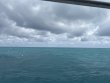 Wednesday June 25th 2025 Tropical Adventure: CRF Nursery reef report photo 1