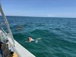 Thursday August 21st 2025 Tropical Adventure: Christ Statue reef report photo 1