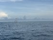 Friday August 29th 2025 Tropical Adventure: Nine Channel reef report photo 1