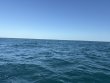Tuesday October 21st 2025 Tropical Adventure: CRF Nursery reef report photo 1