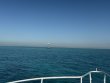 Wednesday March 12th 2025 Tropical Destiny: Eagle Ray Alley reef report photo 1
