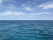 Monday March 17th 2025 Tropical Destiny: Mikes Wreck reef report photo 1