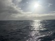 Sunday March 30th 2025 Tropical Destiny: North Star reef report photo 1