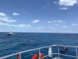 Wednesday April 9th 2025 Tropical Destiny: Nine Channel reef report photo 1