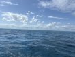 Thursday April 10th 2025 Tropical Destiny: Benwood Wreck reef report photo 1