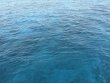 Friday April 11th 2025 Tropical Destiny: Turtle Ledges reef report photo 1
