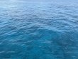 Friday April 11th 2025 Tropical Destiny: French Twist reef report photo 1