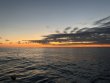 Tuesday April 15th 2025 Tropical Destiny: Benwood Wreck reef report photo 1