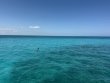 Wednesday April 16th 2025 Tropical Destiny: Grecian Rocks reef report photo 1