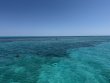 Wednesday April 16th 2025 Tropical Destiny: Grecian Rocks reef report photo 2