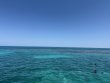 Wednesday April 16th 2025 Tropical Destiny: Grecian Rocks reef report photo 3