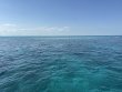 Wednesday April 16th 2025 Tropical Destiny: Christ Statue reef report photo 1