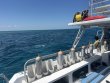 Thursday April 17th 2025 Tropical Destiny: Christ Statue reef report photo 1